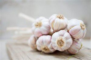 garlic-to-treat-yeast-infections